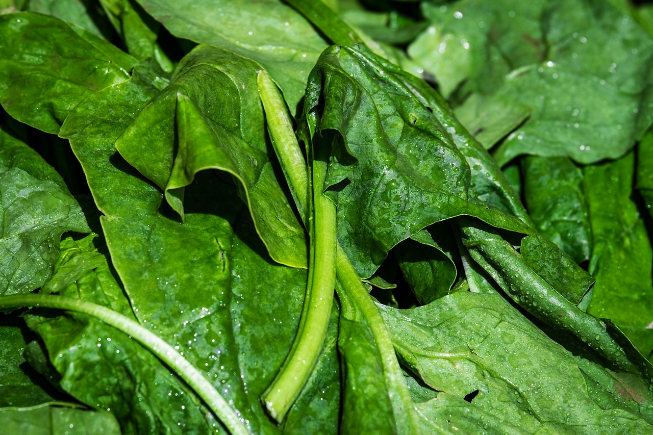 Spinach with Ponzu Sauce Recipe